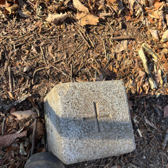 脇を登ったさきの雨乞山三角点