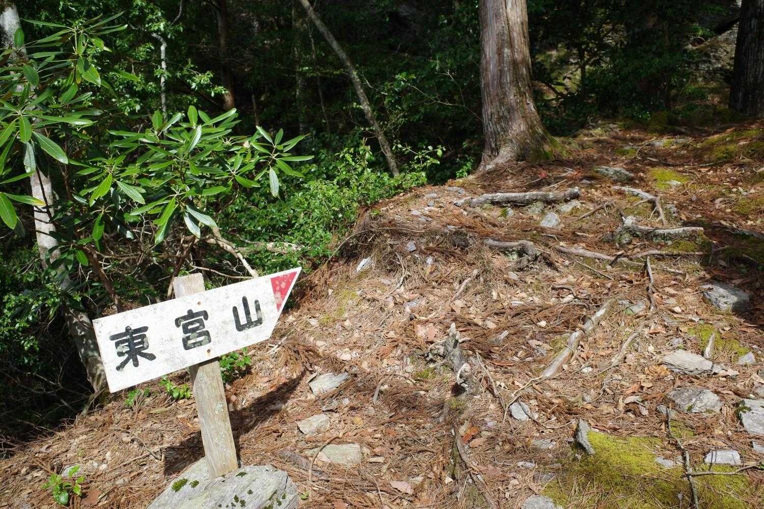 案内通りに