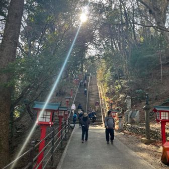 やっぱり男坂でしょ！腰が痛むけど。