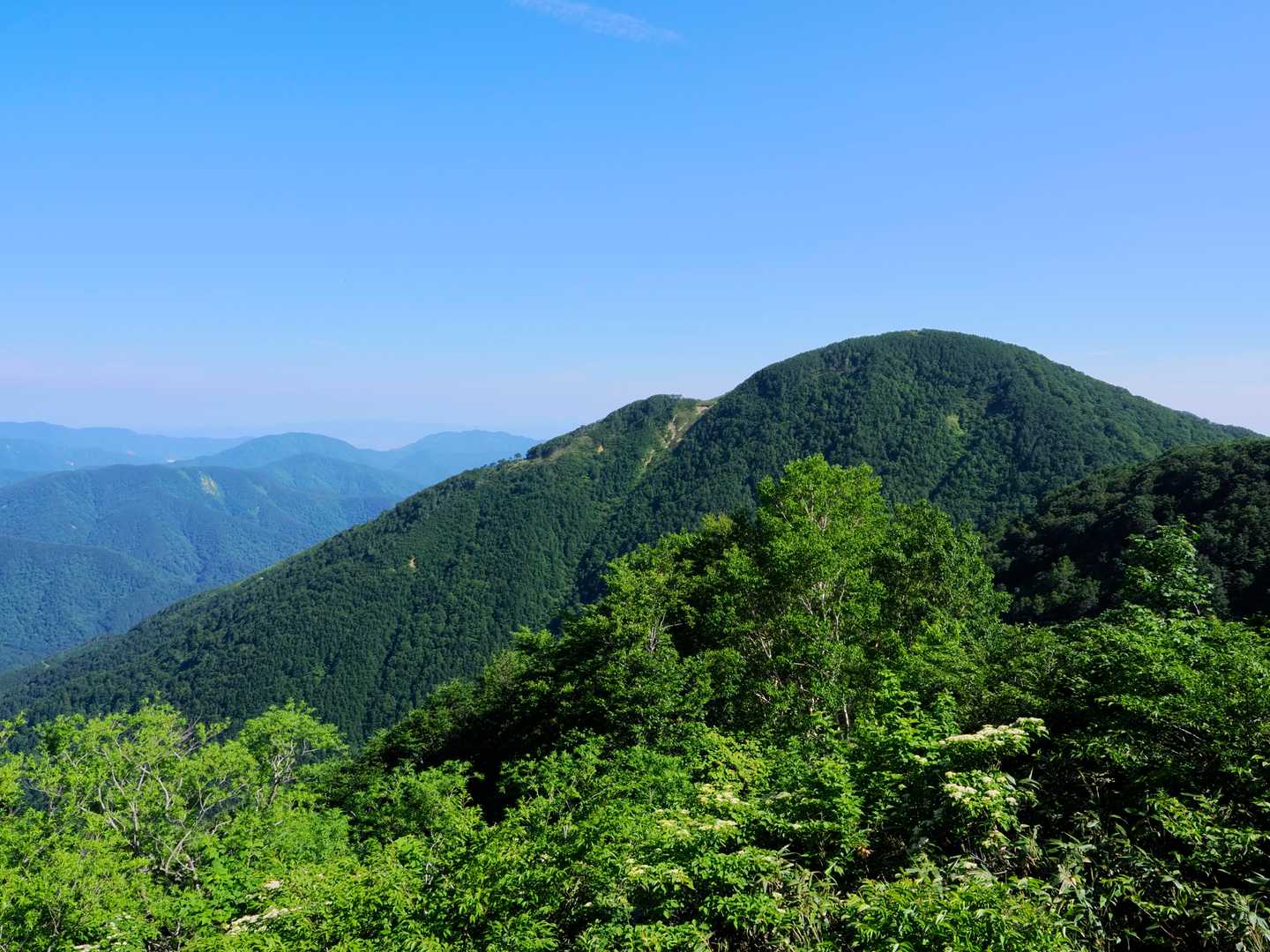 仁王山を眺めながら林道をテクテク