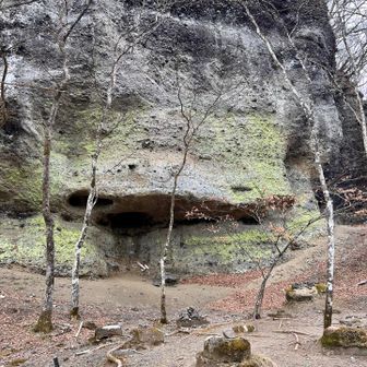 鋏岩修験道場跡
昔、荒船山で修行をする人たちの道場がここに立ち、今でもその基礎が残っています。
写真に映っている岩壁は、荒船溶岩が噴出する前の湖の地層で、ところどころに積み重なってできた縞模様があります🔍