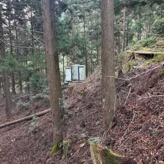 トイレもありました