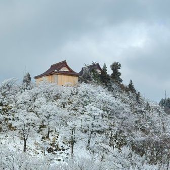 風情がありますね✨