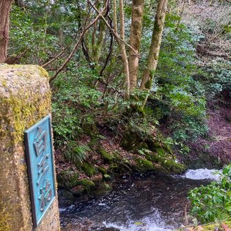 白玉橋からの雄滝🌊