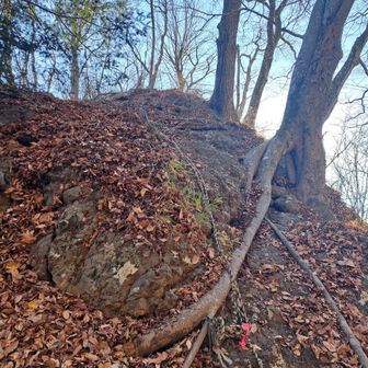 ビューポイントから細い踏跡を辿ってくるとこの岩を下り巻き道を合流します