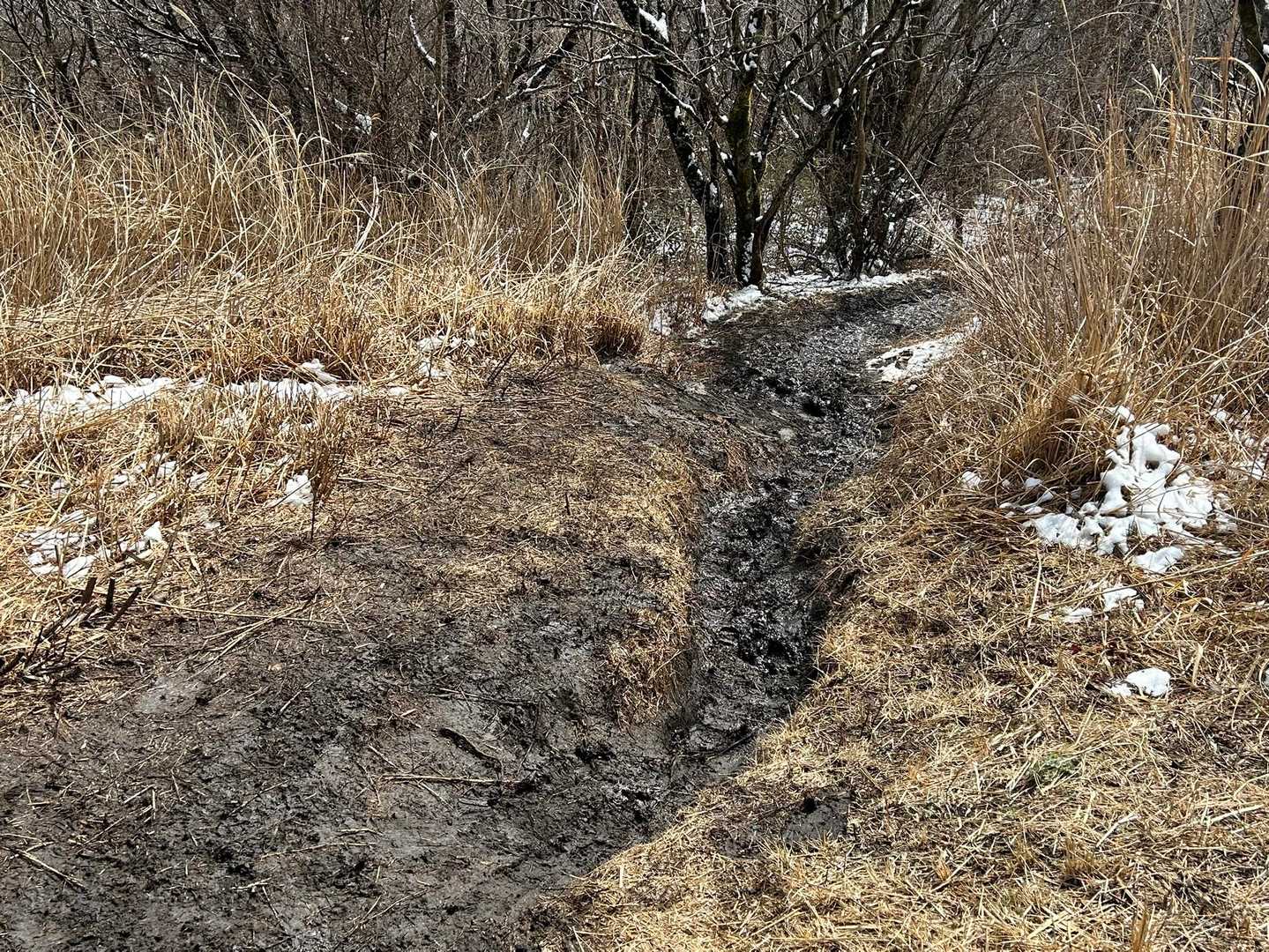 下山開始
幕山近道コースへの下山は泥濘がひどくて
難儀している方が多かったので登ってきたルートから下山