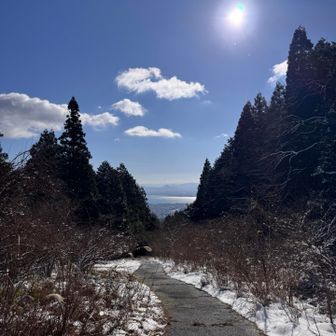 登山口手前までで、この標高！
琵琶湖見えてる〜！