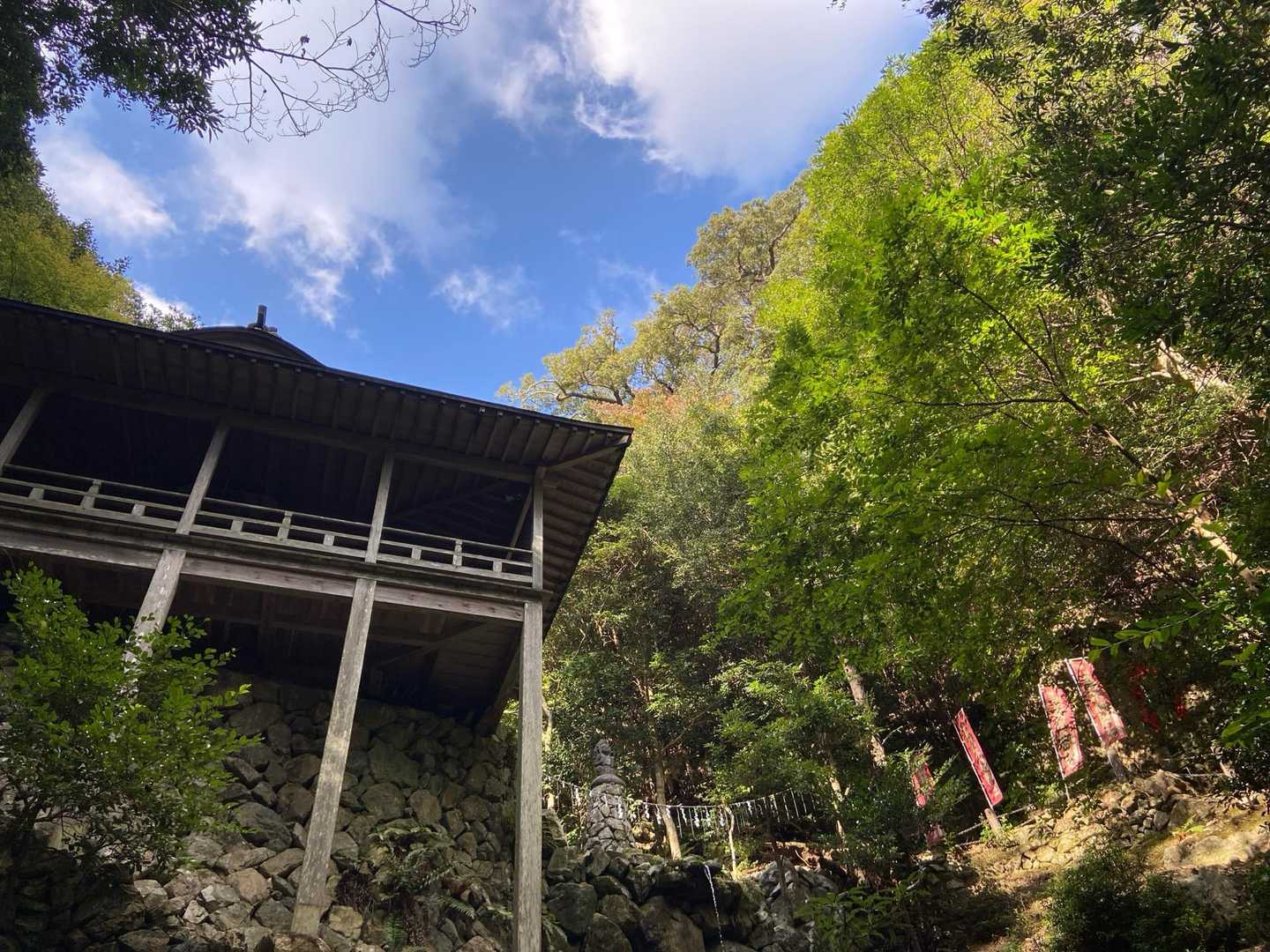 観音堂の横を流れる沢の方に下りてみた
この沢が粟野川の源流らしい🧐