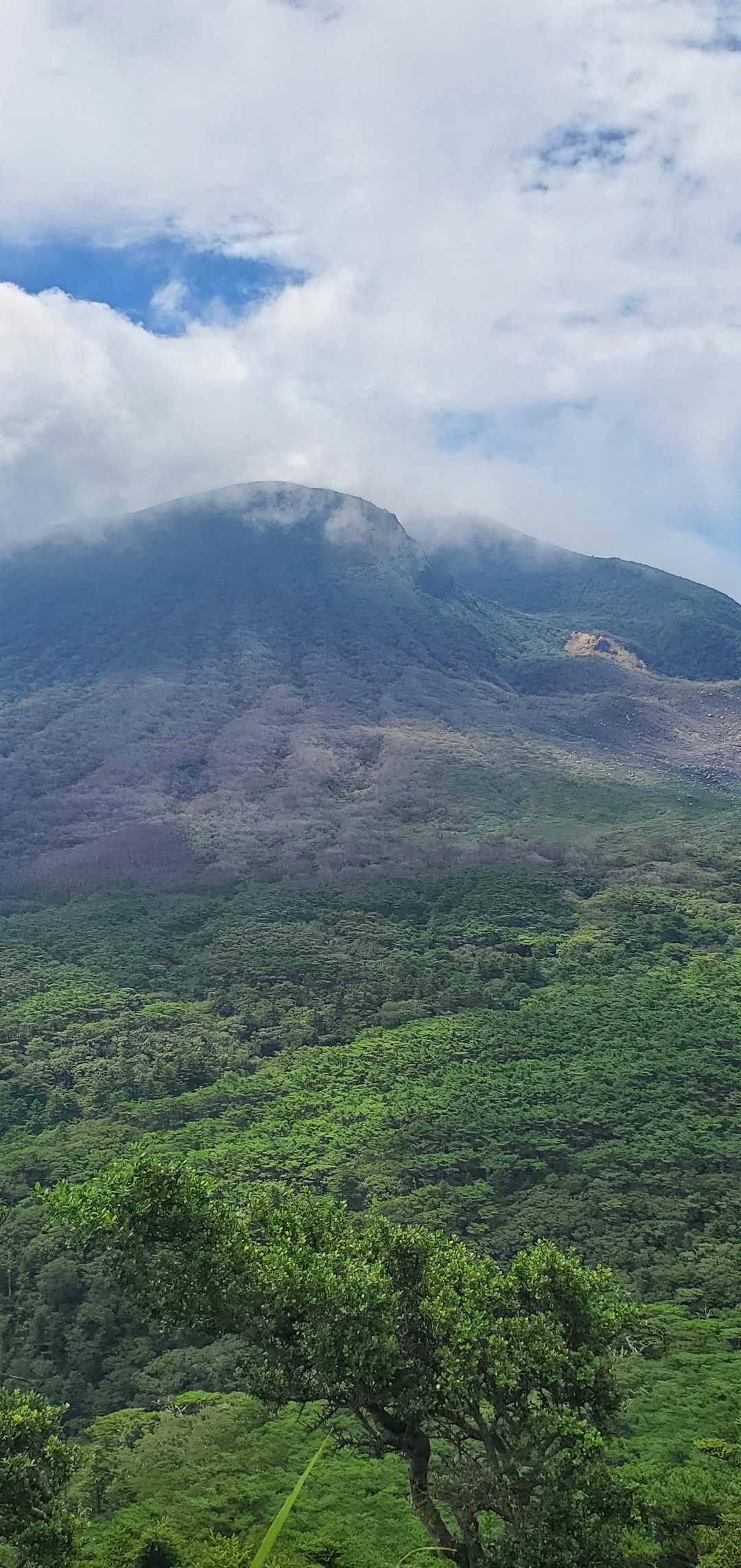 甑岳登山口-甑岳 往復コースの写真