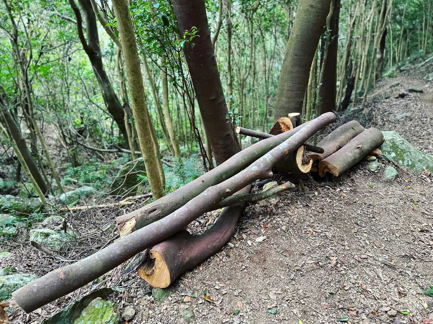 分岐点🪧’-
可愛いわたし好みの🪑がぁ設置🌳꙳⟡
