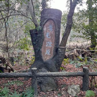 葦毛湿原来ました〜！いい雰囲気🥰