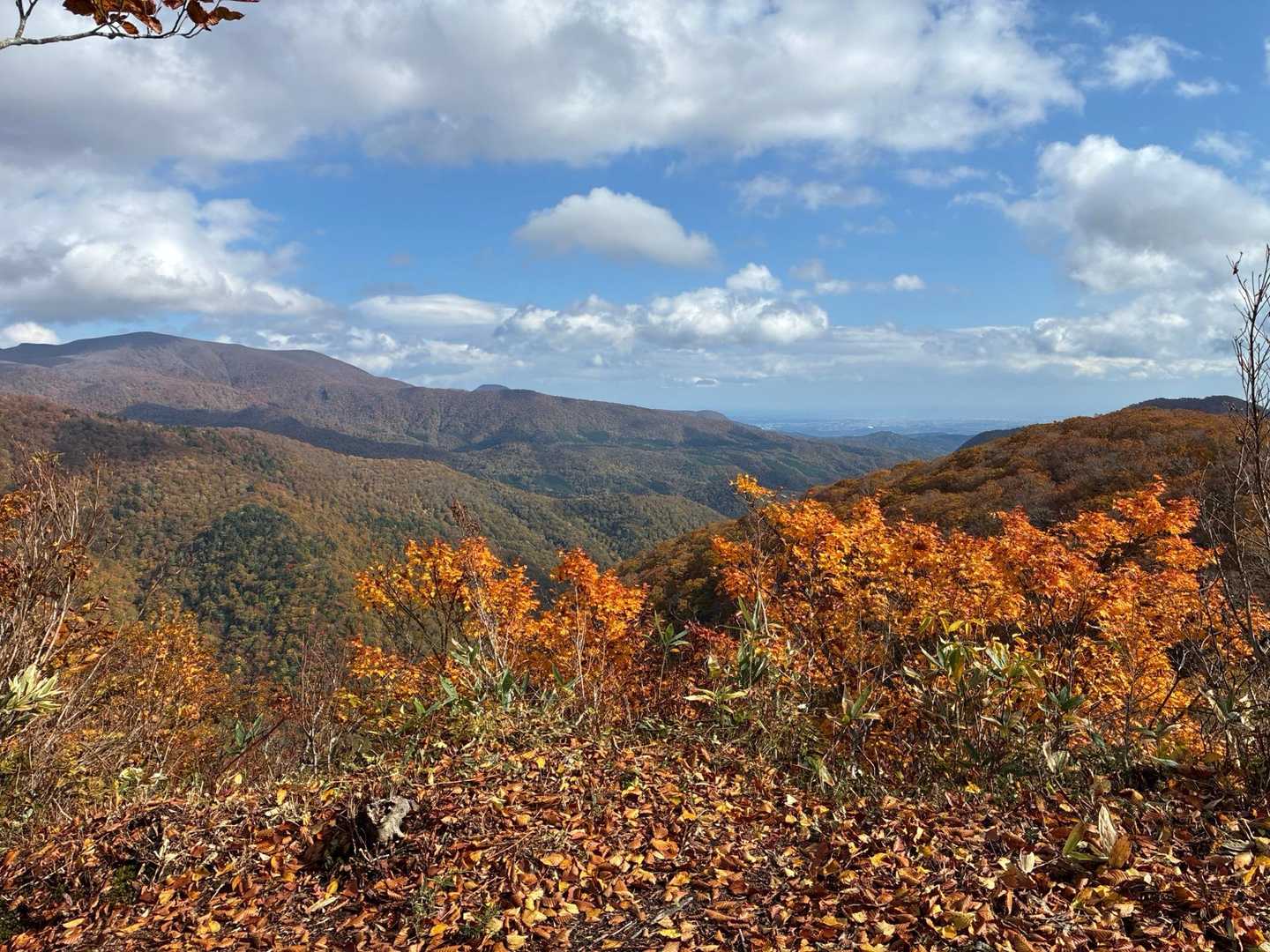 コブノ背-アオノ背-寒風山 往復コースの写真