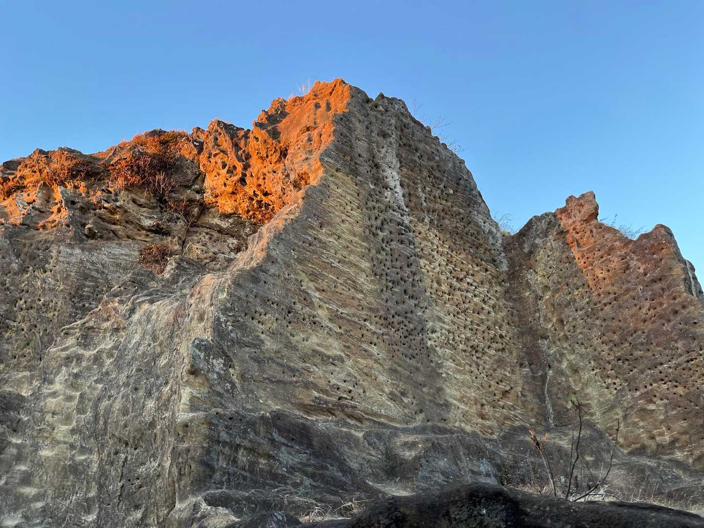 鷹取山 往復コースの写真