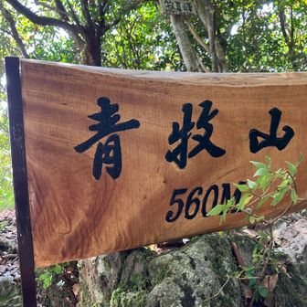 素敵な看板ありがとうございます🪧受け継いで参ります🫡