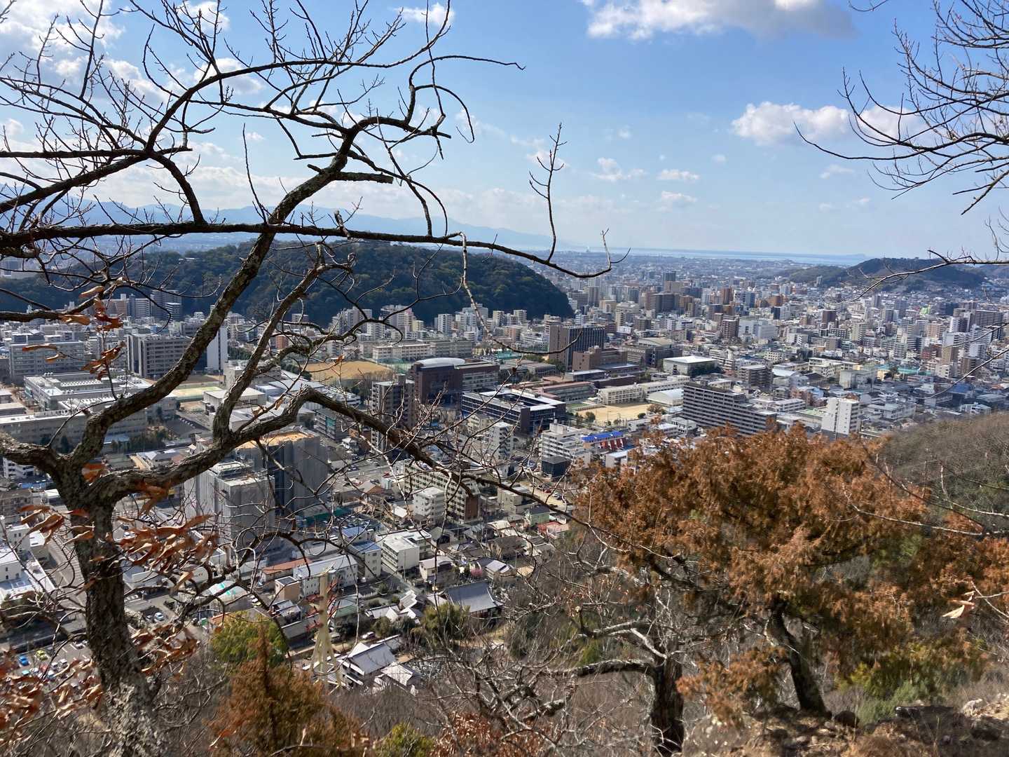この後山頂まで、撮る余裕は無いです。( ・∇・)🐥
優しい励ましと、ご指導の元、無事に上がれました。