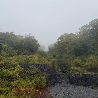 三の沢