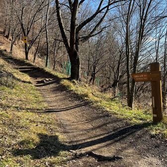 登山口へ戻ってきた

今年一年も怪我無く、無事に登り納めが出来て良かった！