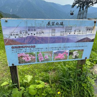 綺麗なお花が沢山見られます