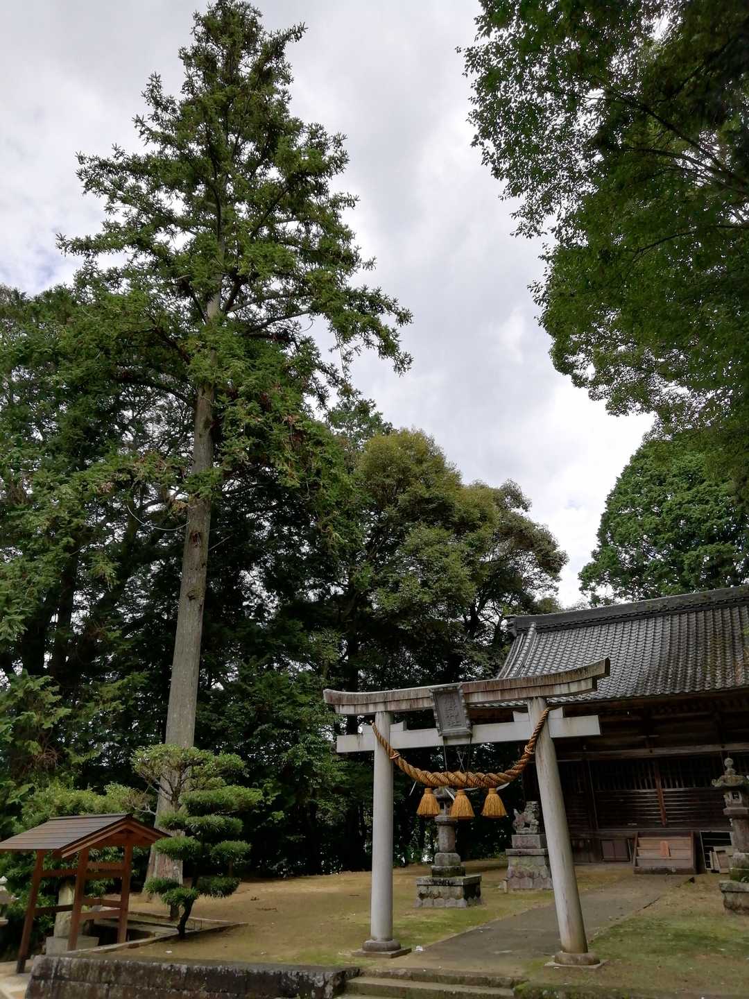 奥殿陣屋ルート登山口-村積山 往復コースの写真