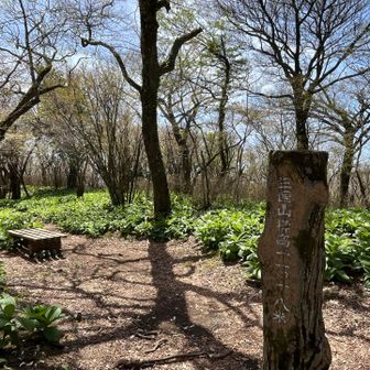 三国山
展望なしでした