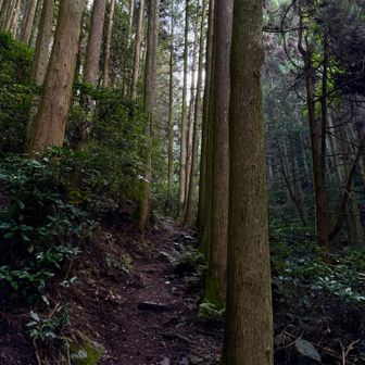 蒸し蒸し💦
少しでも楽な上野越へ