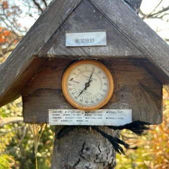 暖かいと思ったら12度🌡️保温材入りの靴を履いた不審者は速やかに下山します🚶