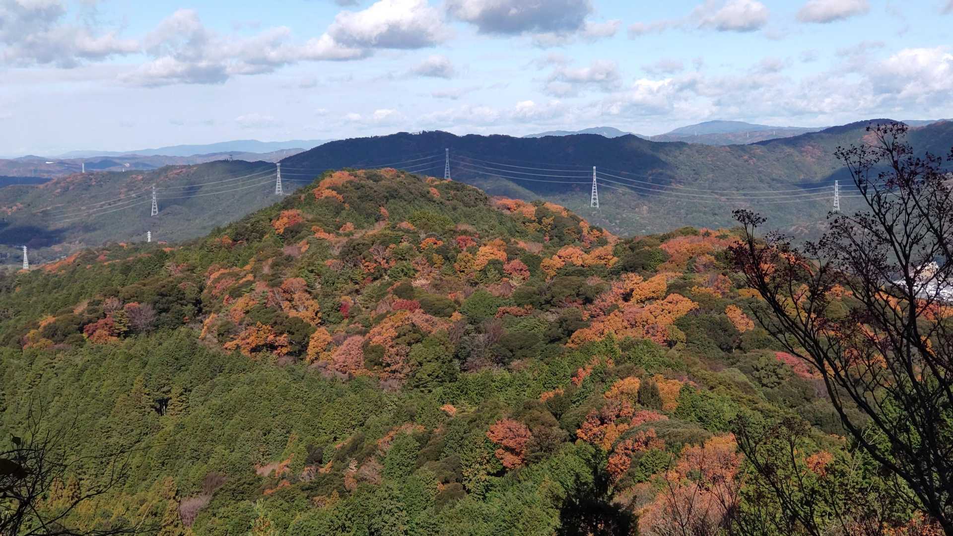 ここから眺める紅葉が良かった