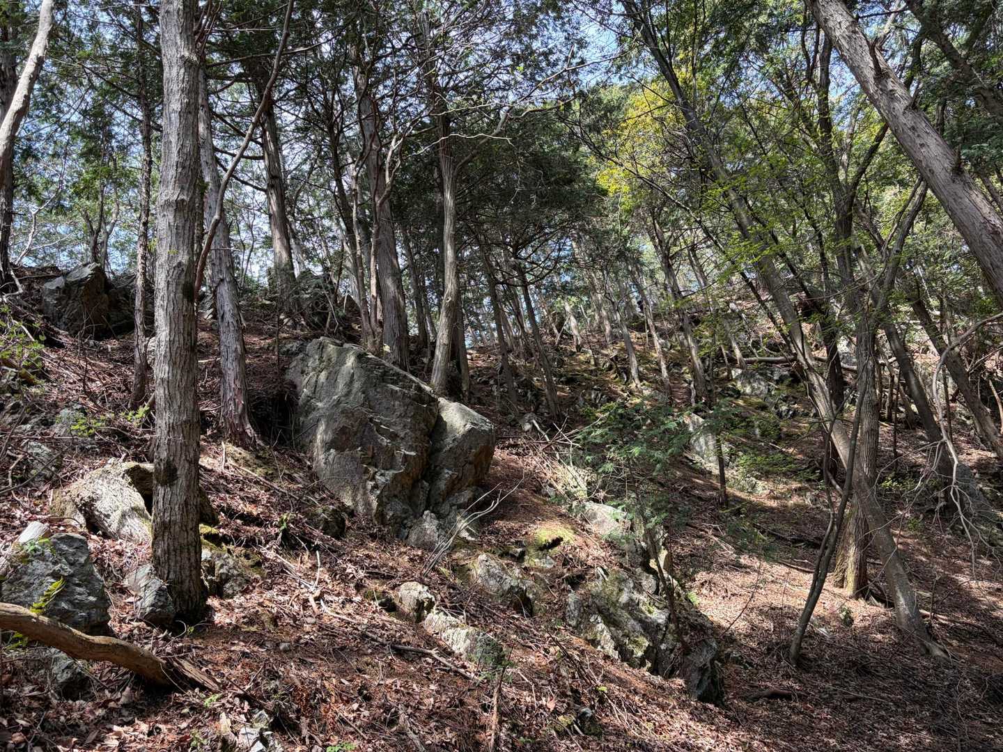 加園登山口-二股山 往復コースの写真