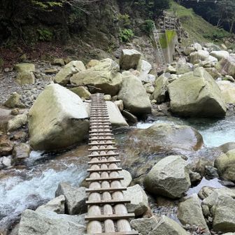 横の橋を渡る