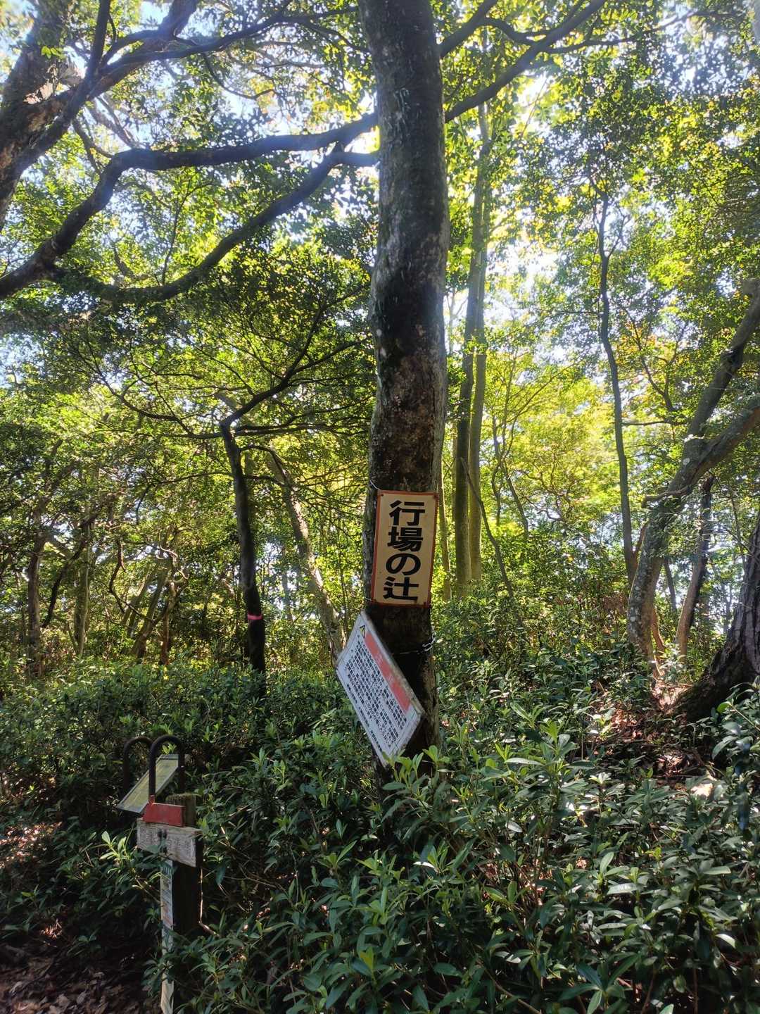 行場へいざ