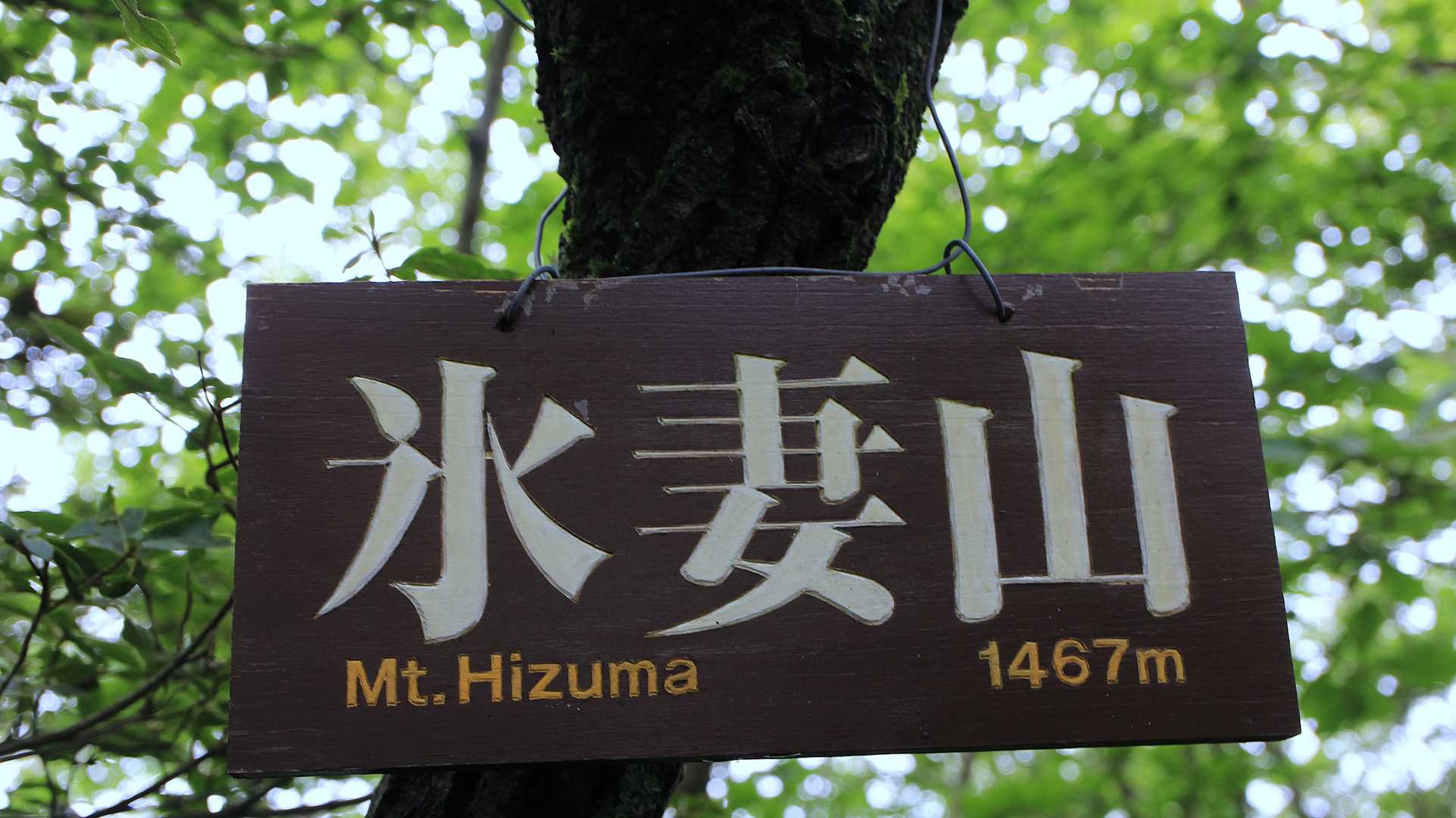 氷妻山まで戻って来ました