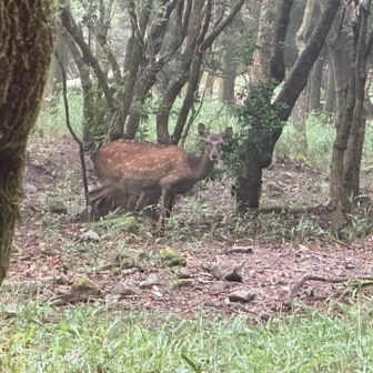 おはよう。