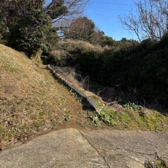 ここから高山山頂へ。