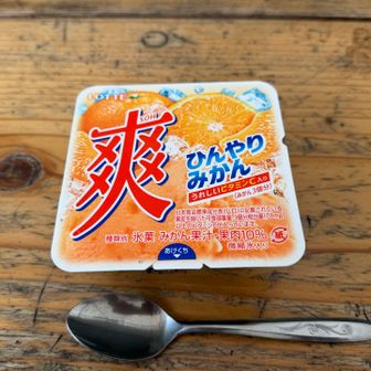 聖光小屋でアイスをいただきました！
最高✨