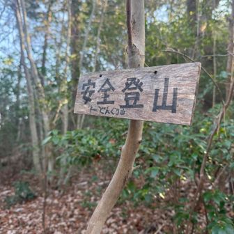 どんぐり山へGO٩( 'ω' )و