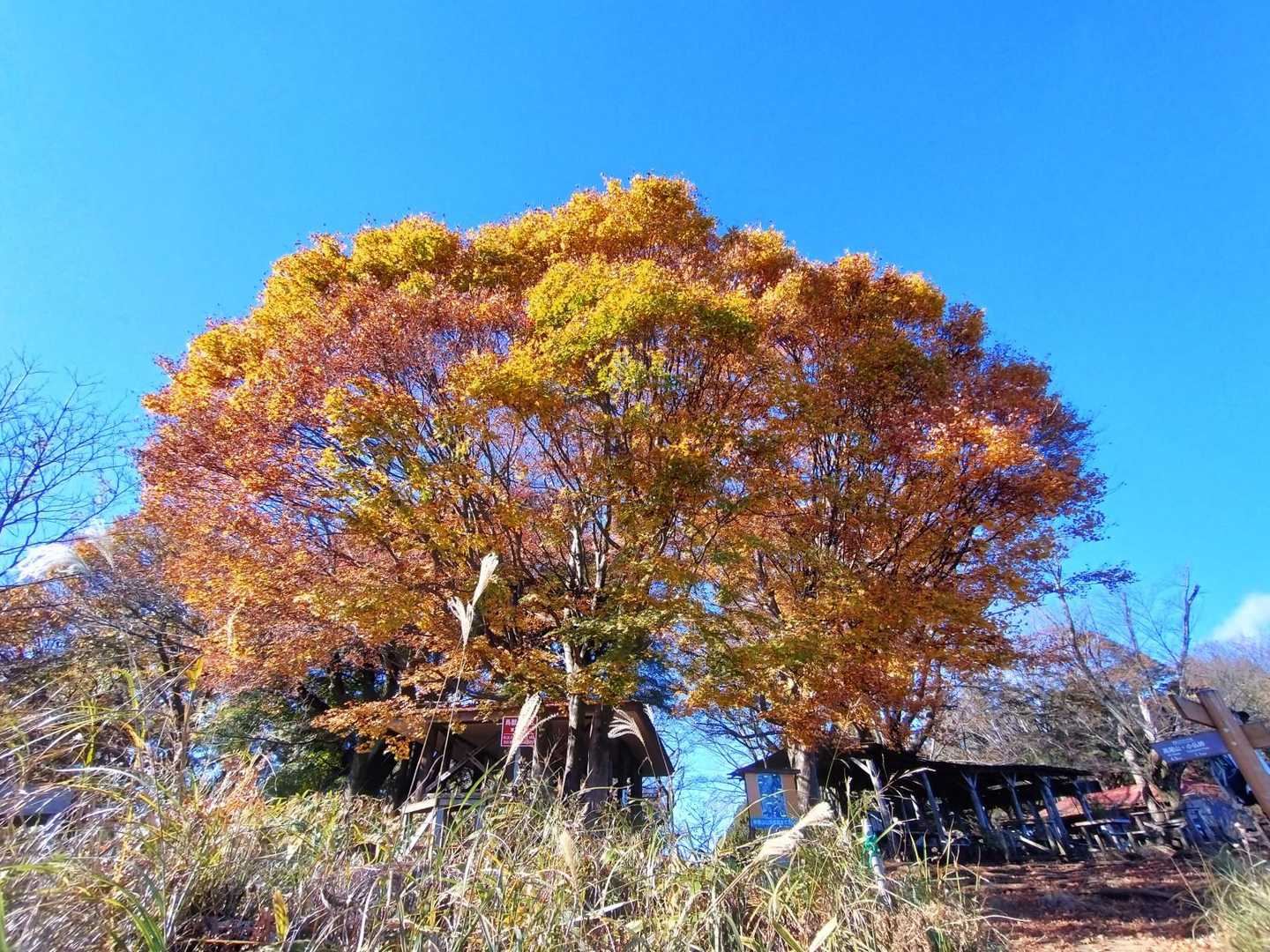 景信山到着