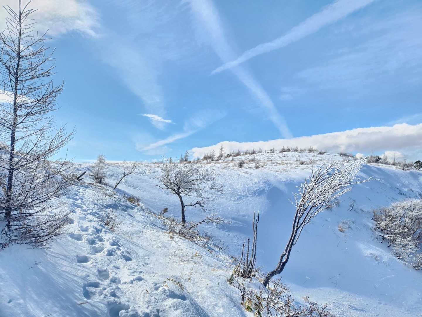 鉢伏登山道入口-鉢伏山 往復コースの写真
