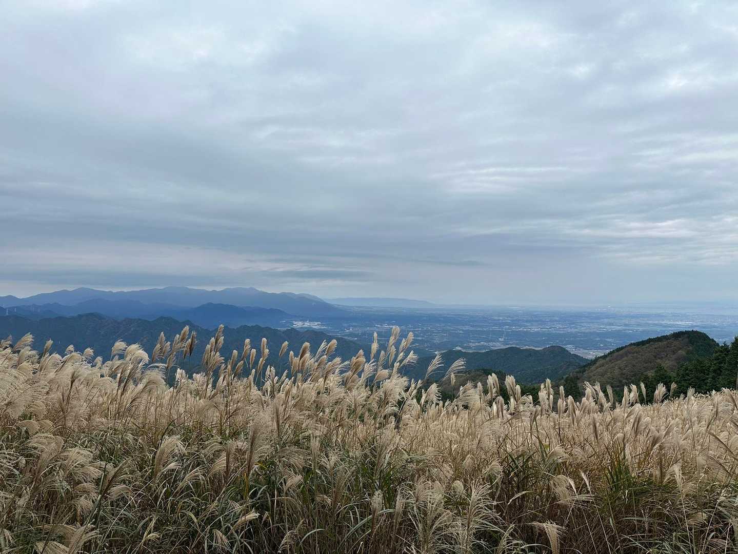 経ヶ峰 往復コースの写真
