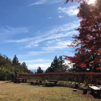たこ焼きシチュー山