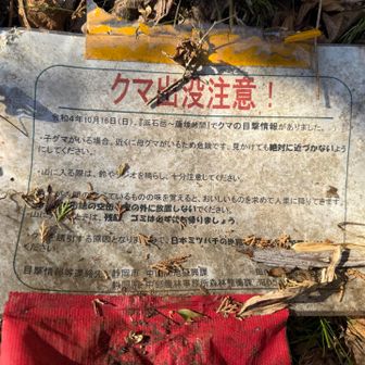 令和4年か…🐻