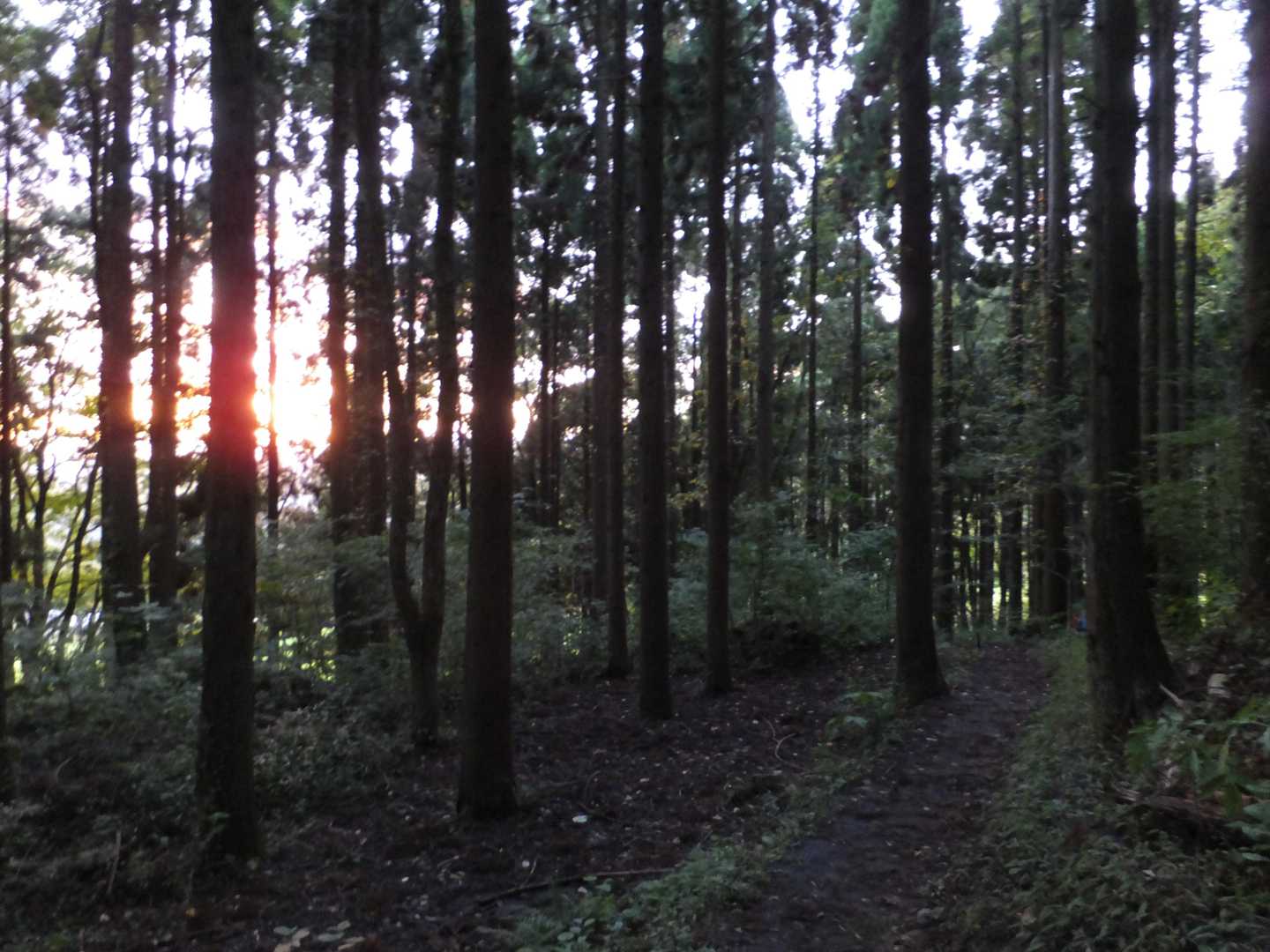 日が暮れてきました