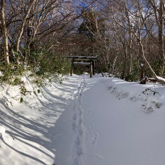 オーナー先輩がInstagram用に
源泉の写真を撮ってこいと散歩に…

めんどくせぇ〜😆