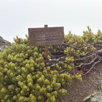 百高山の旭岳…小屋番さんは山道になって無いのでおすすめは出来ません🙅🏻‍♀️って事でした💦自己責任で！