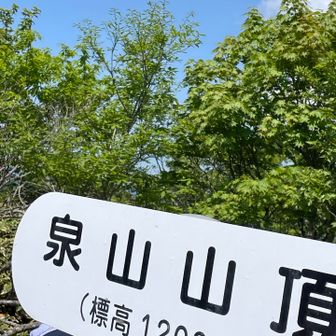 泉山、本日3個目ピーク👀