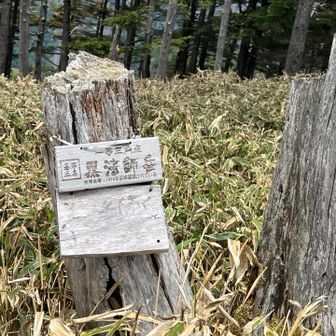看板は他にも　ヘロヘロで写真が少ない