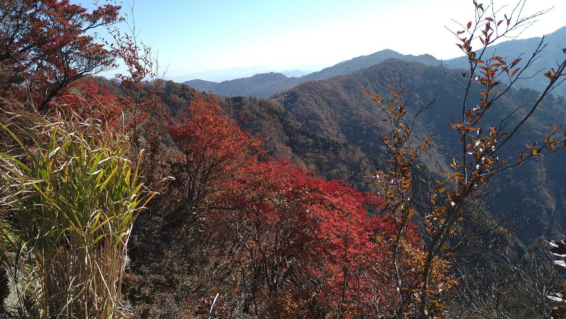 白髪トンネル南口登山口-大森山-佐々連尾山 往復コースの写真