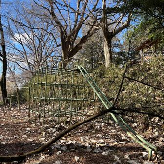 古いジャングルジムと鉄棒