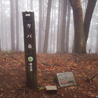 なんでカバ岳…と思ったけど、刈場坂（かばさか）のカバか