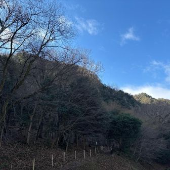鳩吹ブルー　山頂までスタート