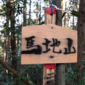 馬地山。
眺望なんて全くなし😗